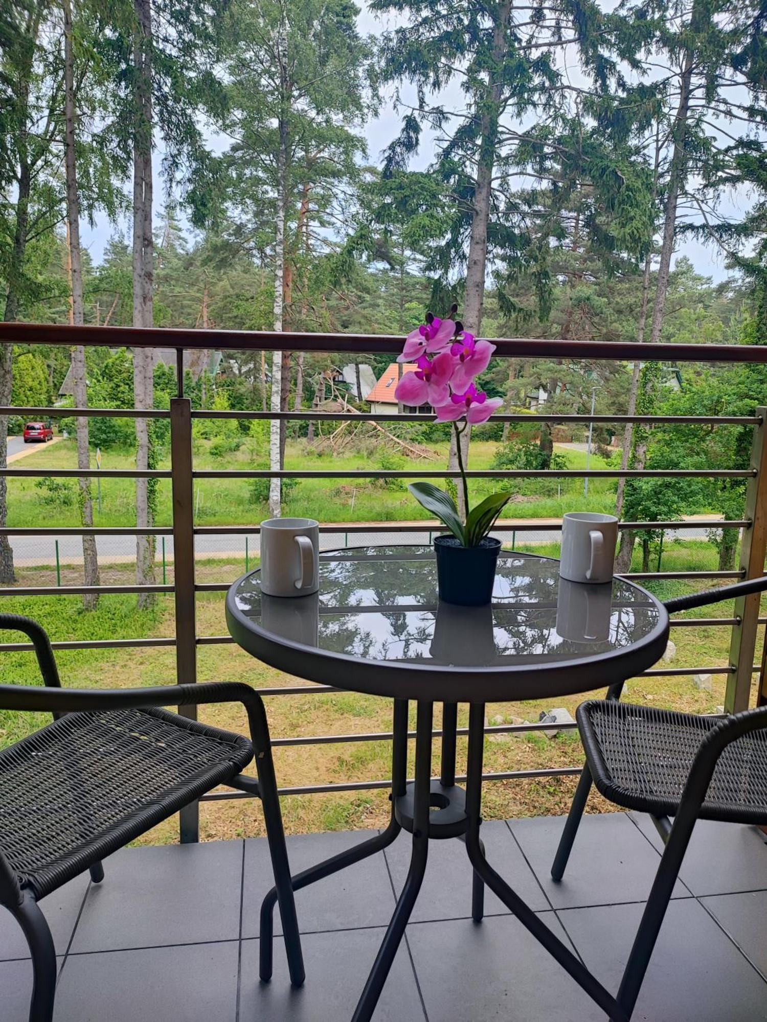 Apartamenty Poddabek- Basen Kryty, Sauna, Animacje Dla Dzieci , Malpi Gaj, Baseny Na Dachu Poddabie Exterior photo